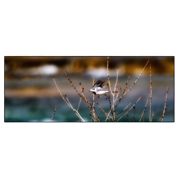 PHOTO84, CLUB, 84 , LUBERON